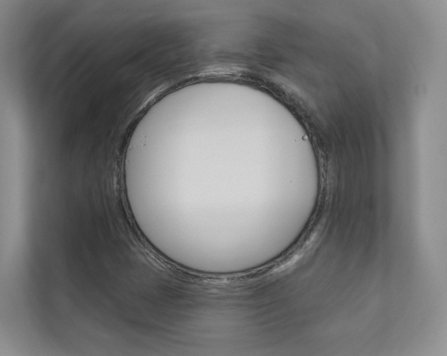 X0000110981401200906191041