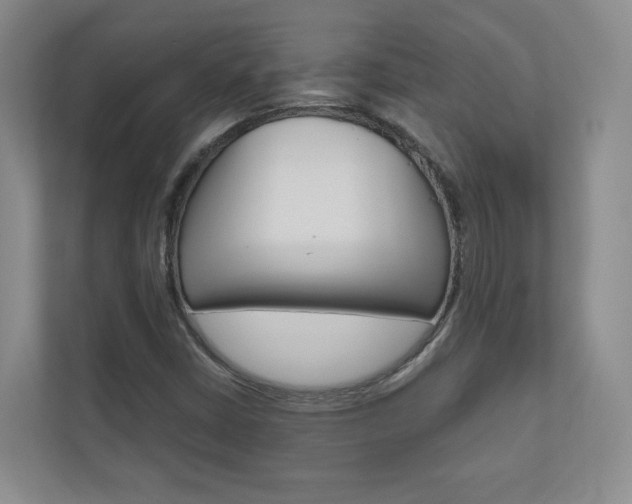 X0000110981402200906191041