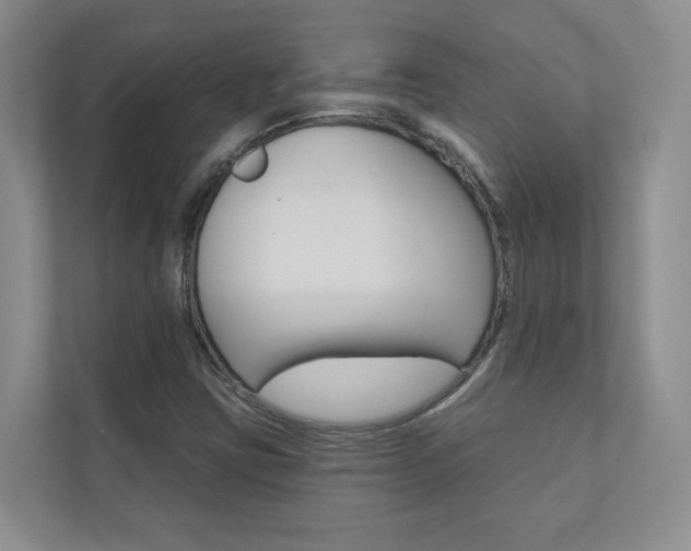 X0000110981403200906191041