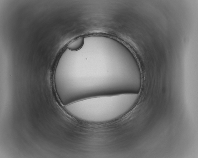 X0000110981404200906191041