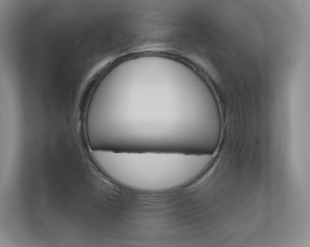 X0000110981406200906191041