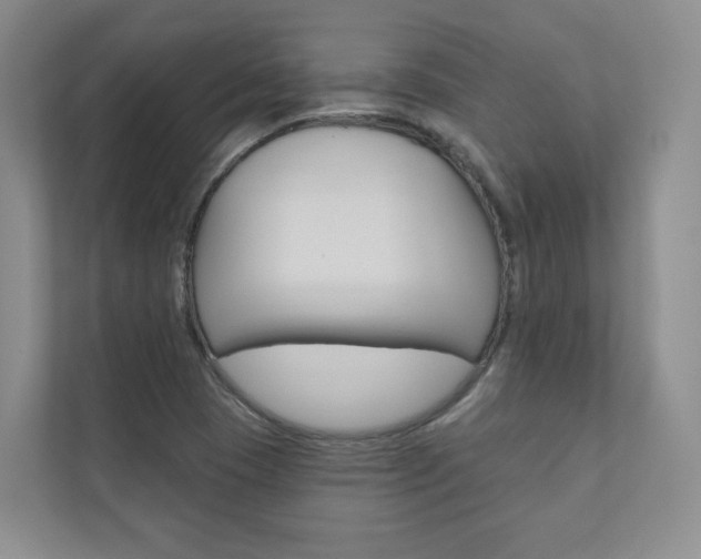 X0000110981409200906191041