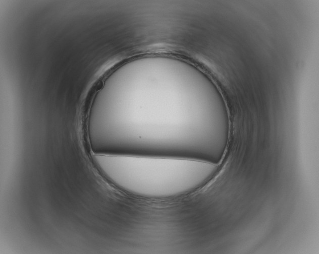X0000110981410200906191041