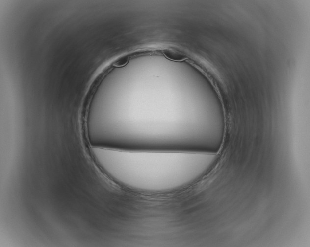 X0000110981412200906191041