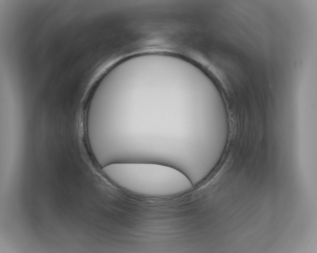 X0000110981415200906191041