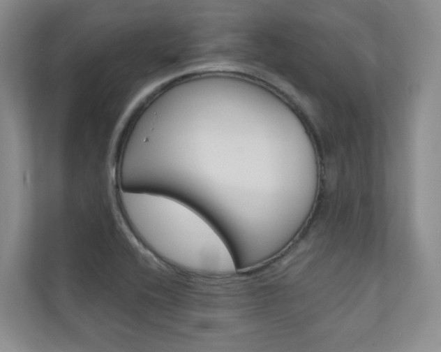 X0000110981416200906191041