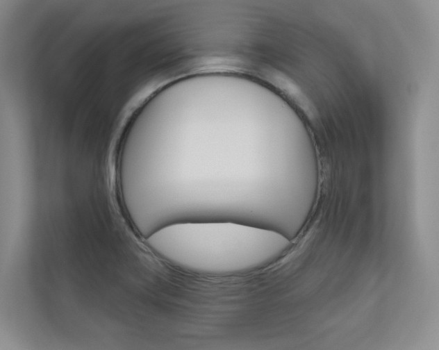 X0000110981419200906191041