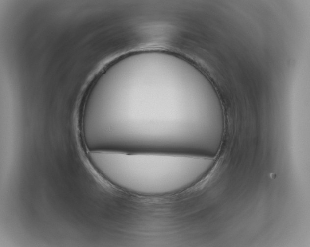 X0000110981422200906191041