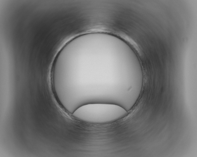 X0000110981423200906191041