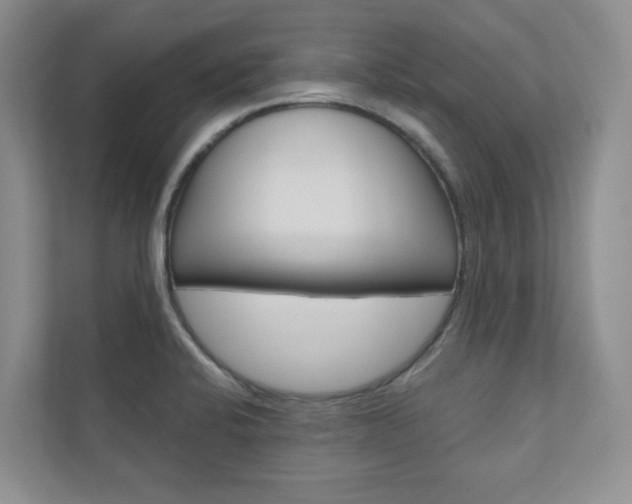 X0000110981424200906191041