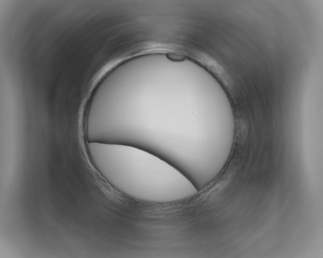X0000110981427200906191041