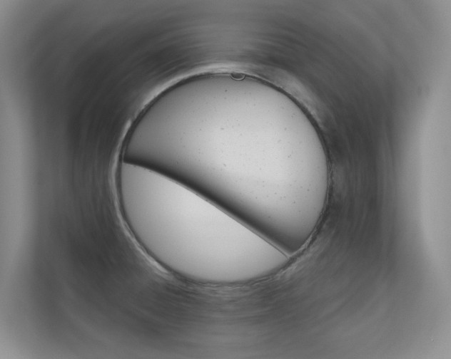 X0000110981428200906191041