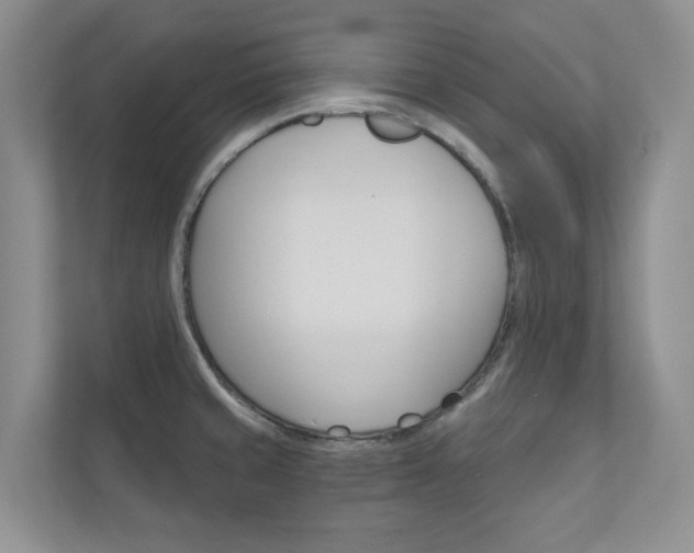 X0000110981429200906191041