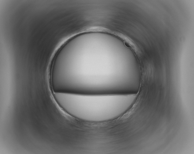 X0000110981430200906191041