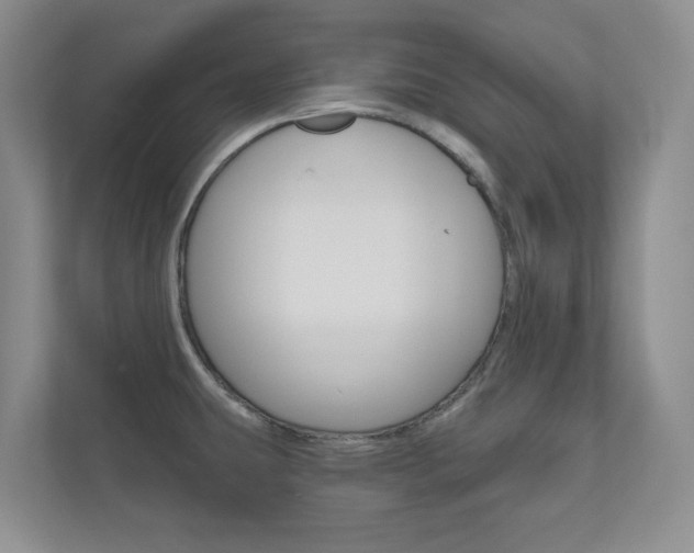X0000110981431200906191041