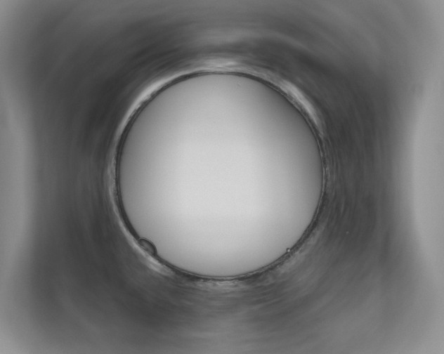 X0000110981432200906191041