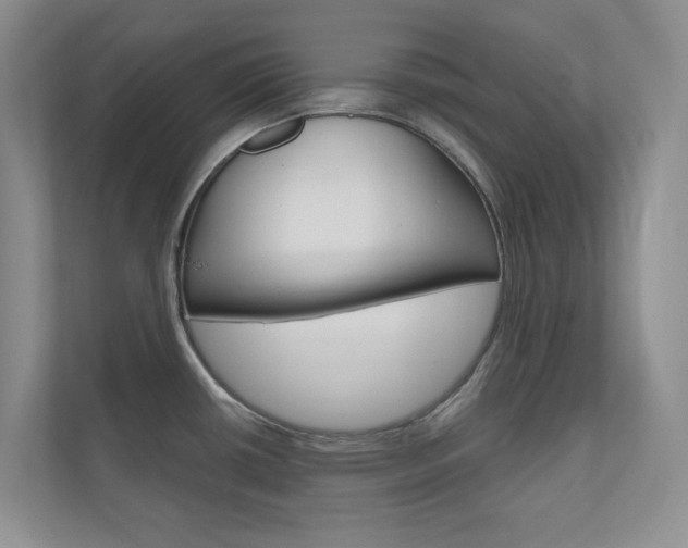 X0000110981434200906191041