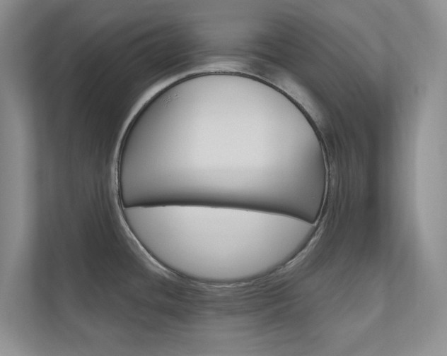X0000110981436200906191041