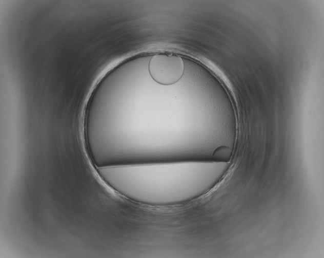 X0000110981437200906191041