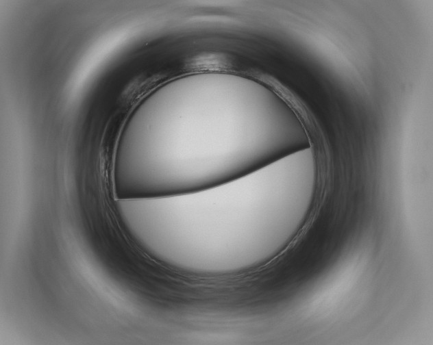 X0000110981438200906191041