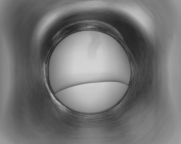 X0000110981439200906191041