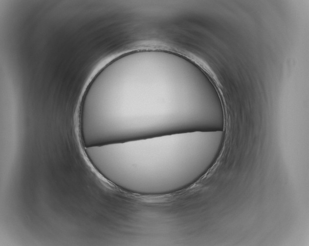 X0000110981440200906191041