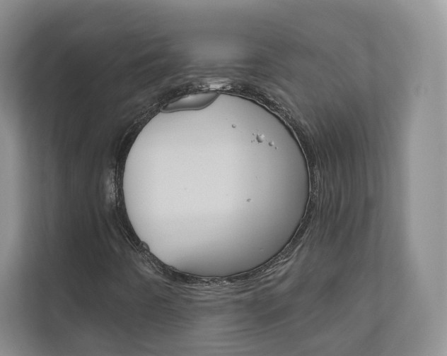 X0000110981442200906191041