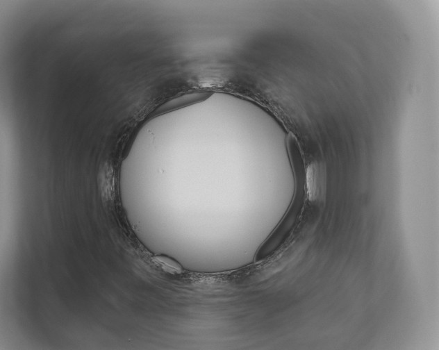 X0000110981443200906191041