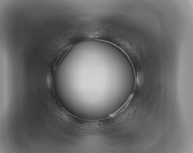 X0000110981444200906191041