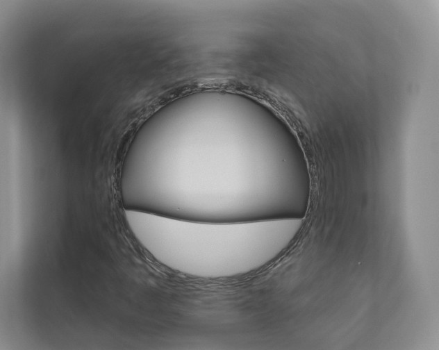 X0000110981445200906191041
