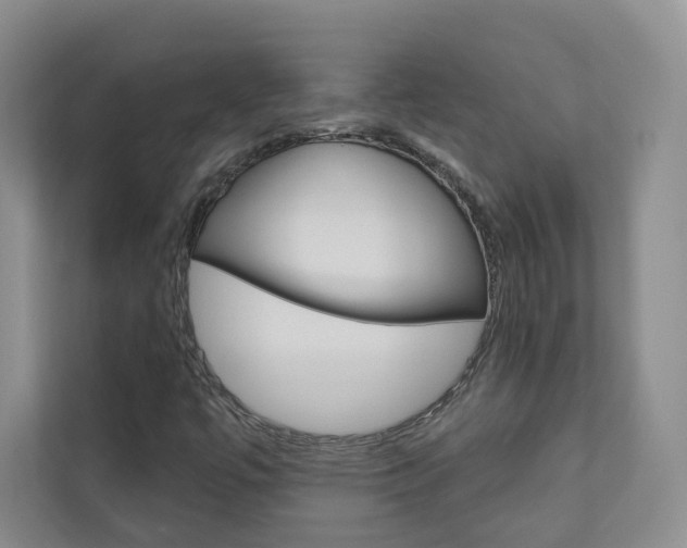 X0000110981447200906191041