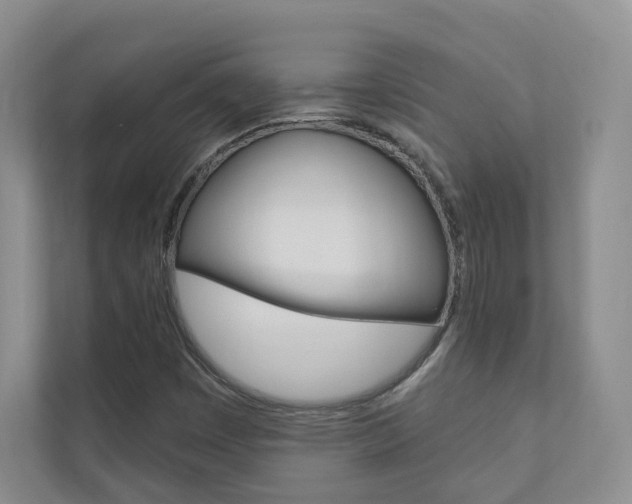 X0000110981449200906191041