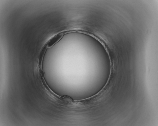 X0000110981452200906191041