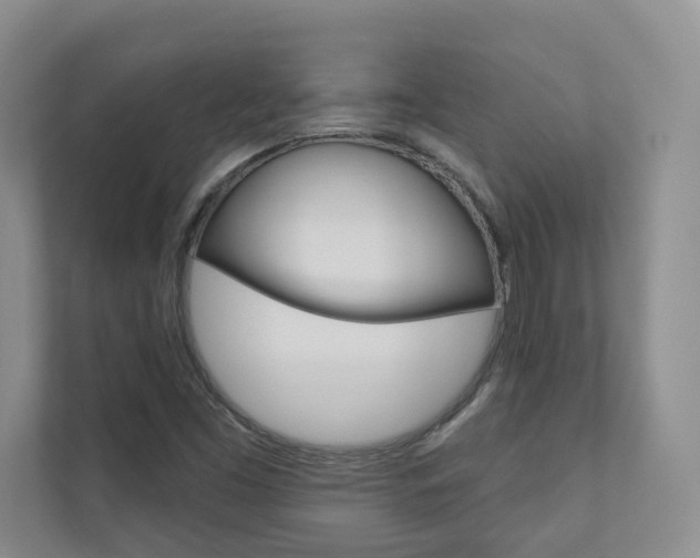 X0000110981453200906191041