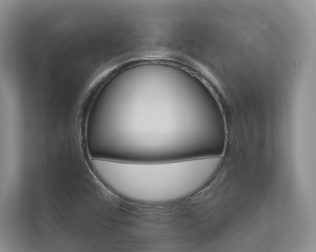 X0000110981456200906191041