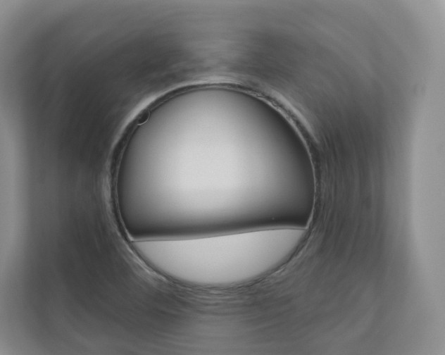 X0000110981460200906191040