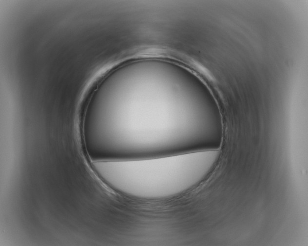 X0000110981464200906191040