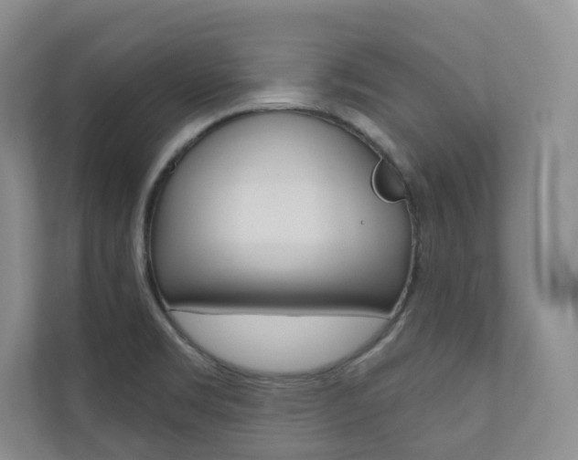 X0000110981469200906191040