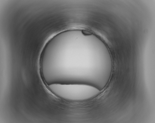 X0000110981471200906191040
