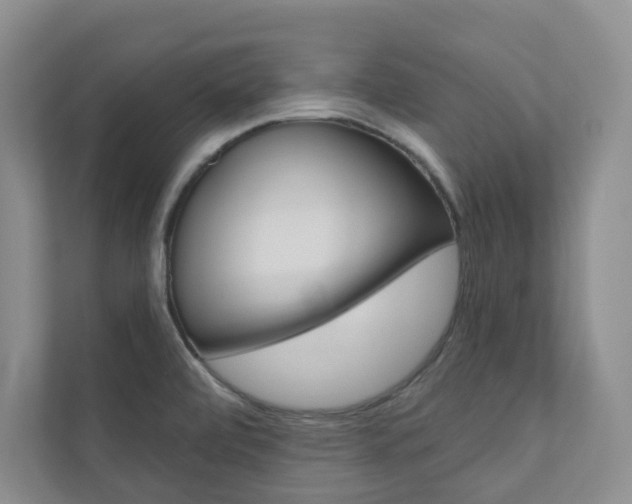 X0000110981472200906191040