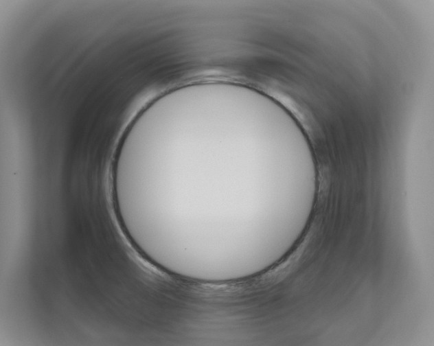 X0000110981474200906191040