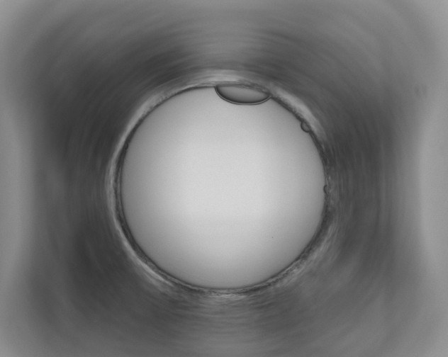 X0000110981475200906191040