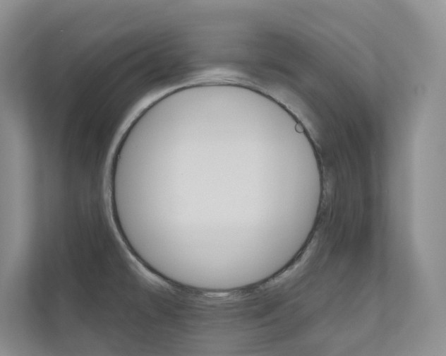 X0000110981478200906191040