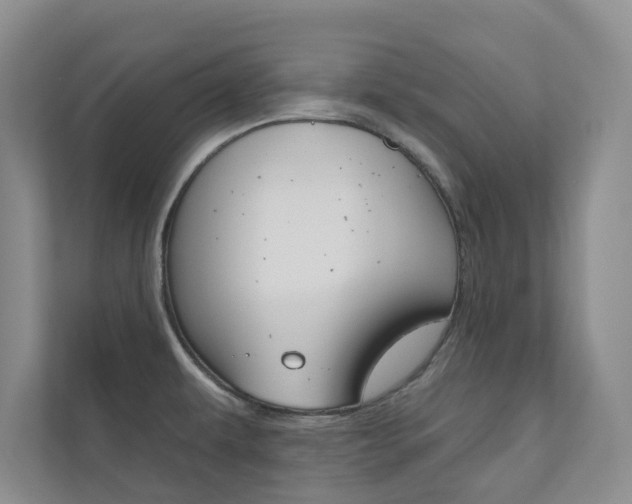 X0000110981479200906191040
