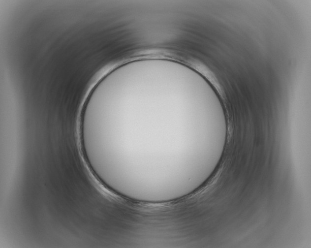 X0000110981482200906191040
