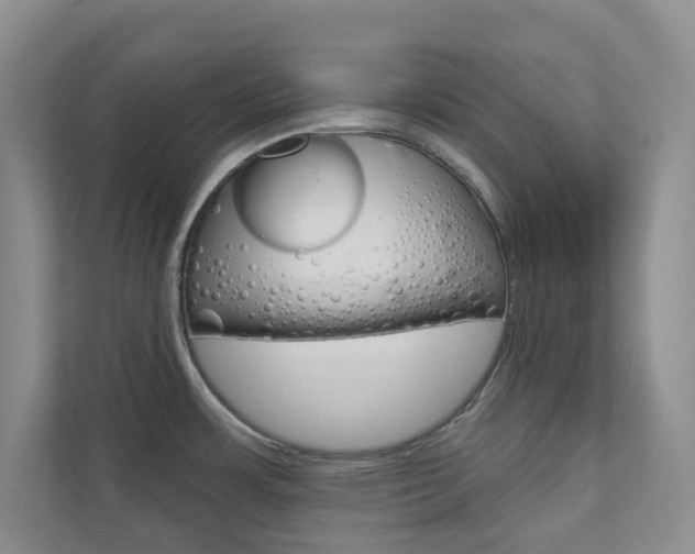 X0000110981483200906191040