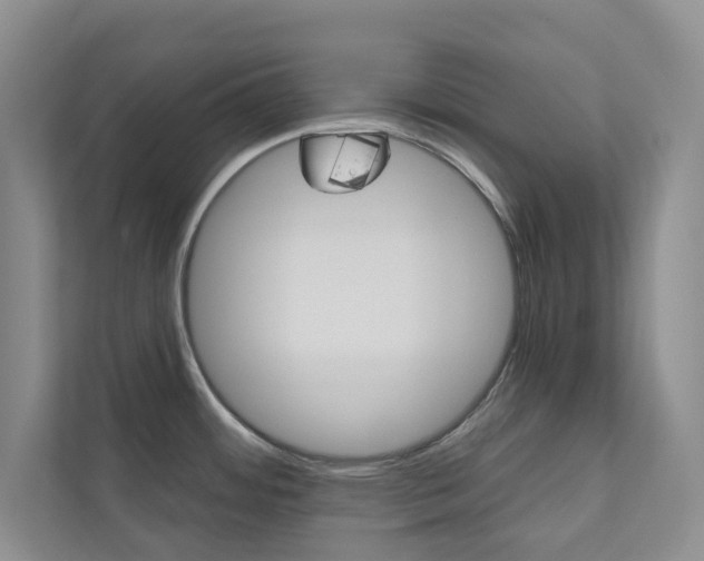 X0000110981484200906191040