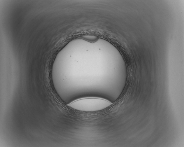 X0000110981489200906191040