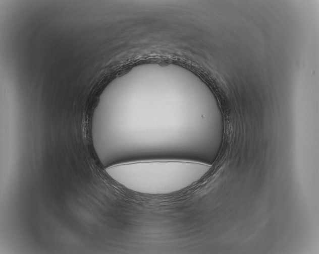 X0000110981490200906191040