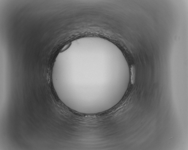 X0000110981491200906191040